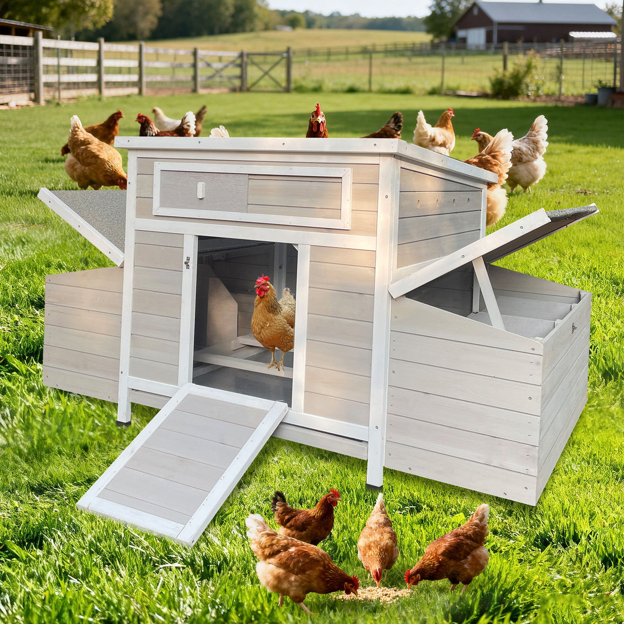 Large Chicken Coop Outdoor Hen House With Dual Nesting Boxes