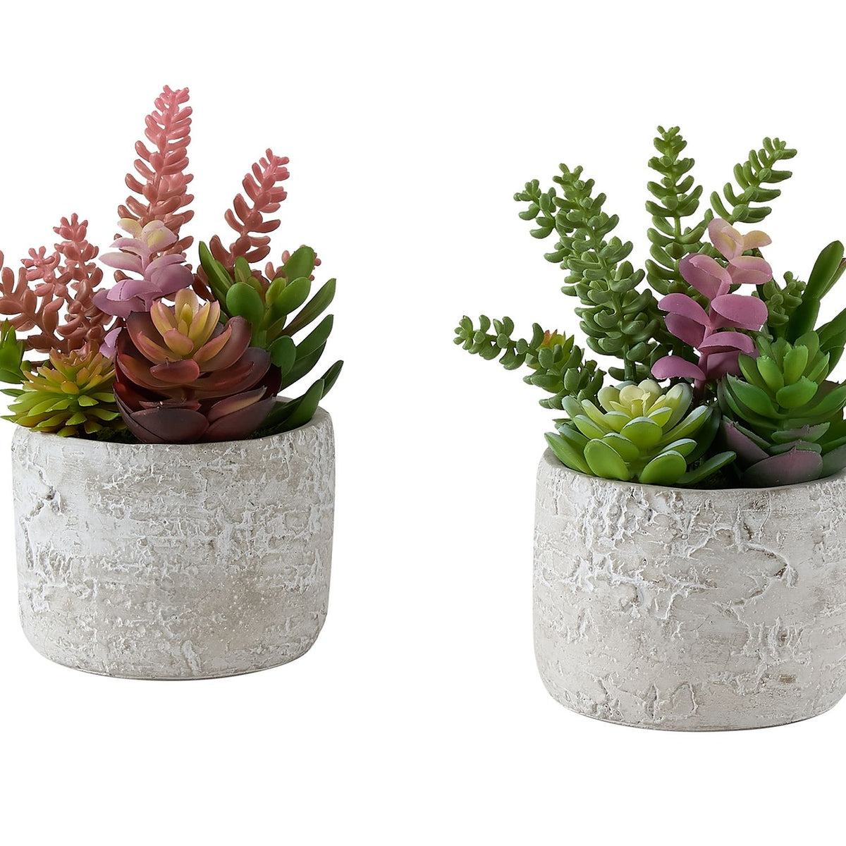 Artificial Succulent Table Decor (Set of 2) - Green - Plastic