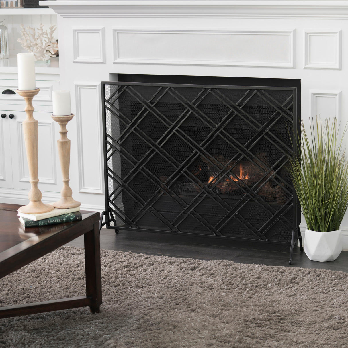 Elegant Design Fire Screen, Protective Barrier