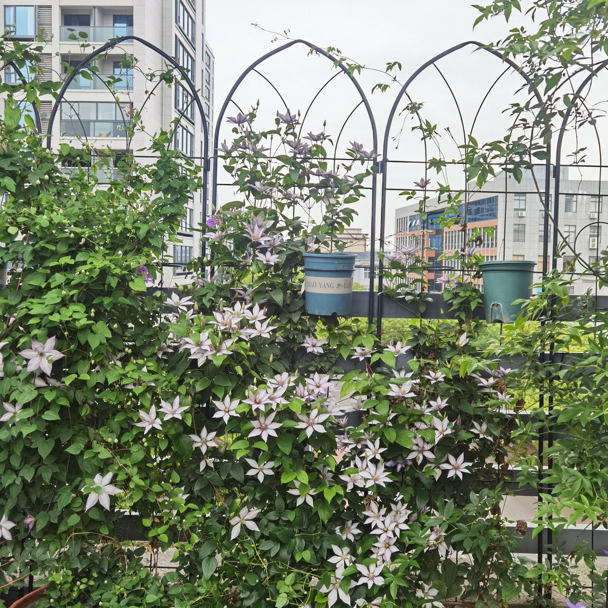 Metal Garden Trellis Rustproof Trellis For Climbing Plant, Outdoor Flower Support