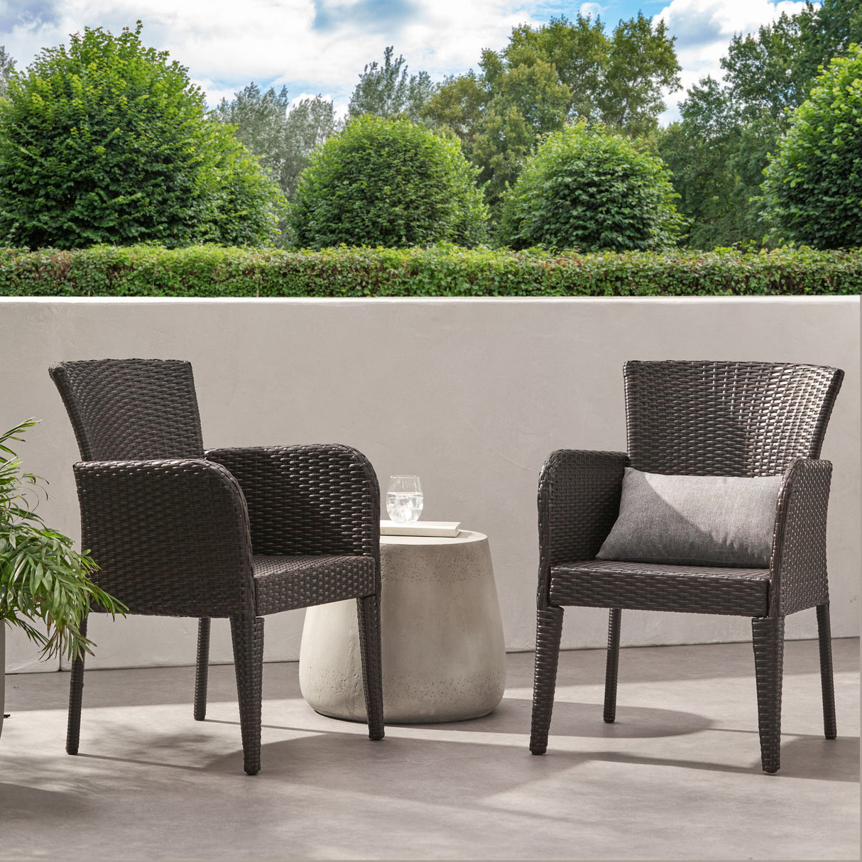 Anaya - Outdoor Wicker Dining Armchair (Set of 2)