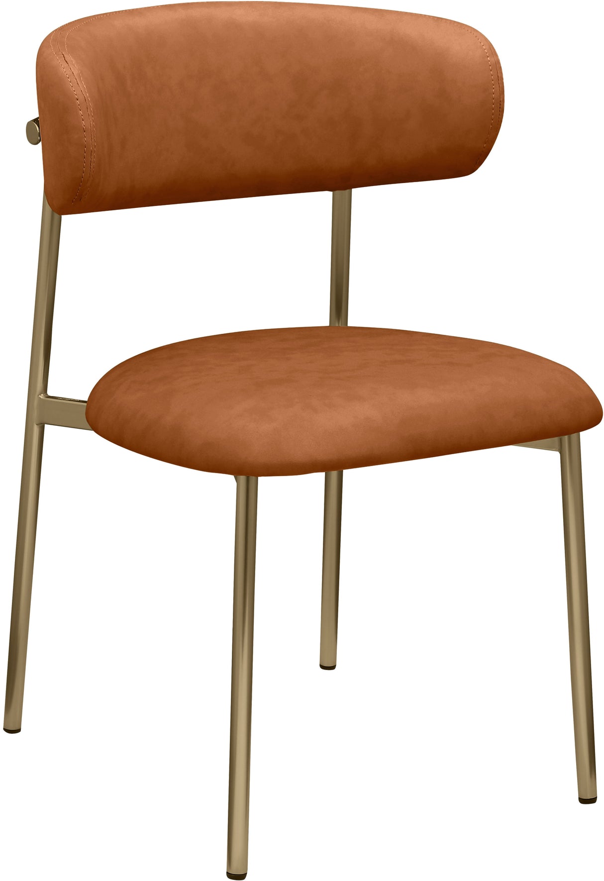 Lupita - Dining Chair With Brushed Gold Legs(Set of 2)