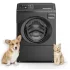 27" Front-Load Washer with Sanitize & Allergy Rinse – Black