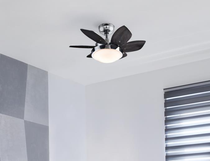 Westinghouse 7236600 Quince 24-Inch Indoor Ceiling Fan with Dimmable LED Light Fixture