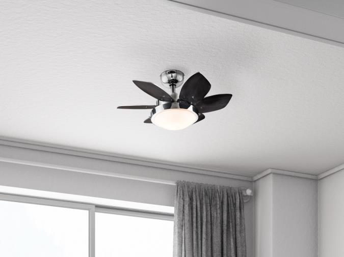 Westinghouse 7236600 Quince 24-Inch Indoor Ceiling Fan with Dimmable LED Light Fixture