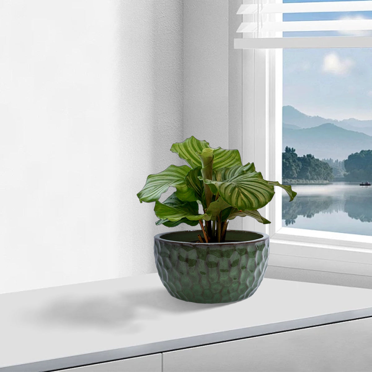3 Pieces Ceramic Flowerpot