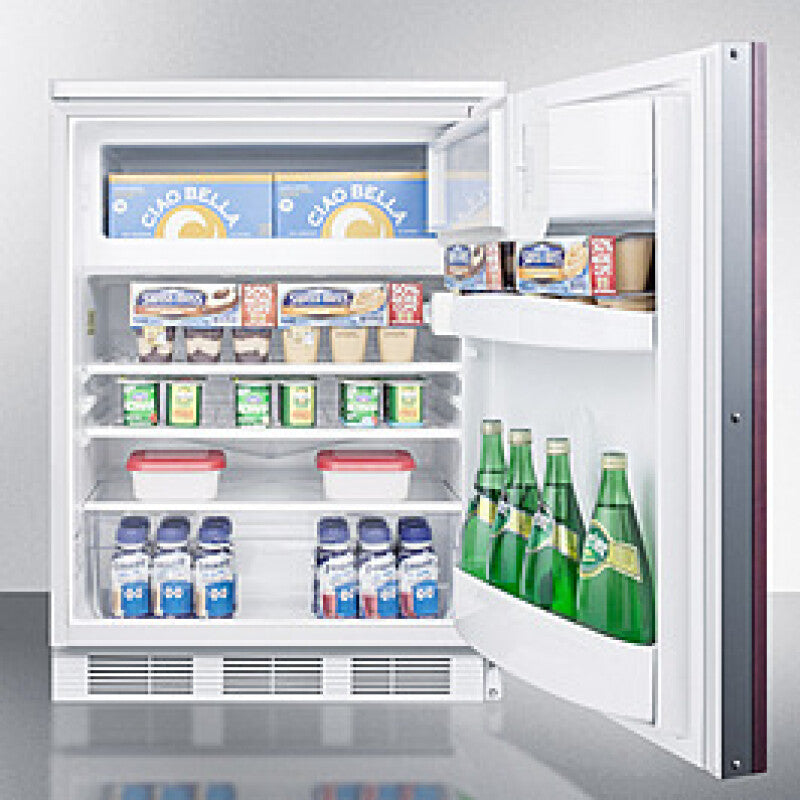 24" Wide Built-in Refrigerator-freezer (panel Not Included) - (CT66LWBIIF)