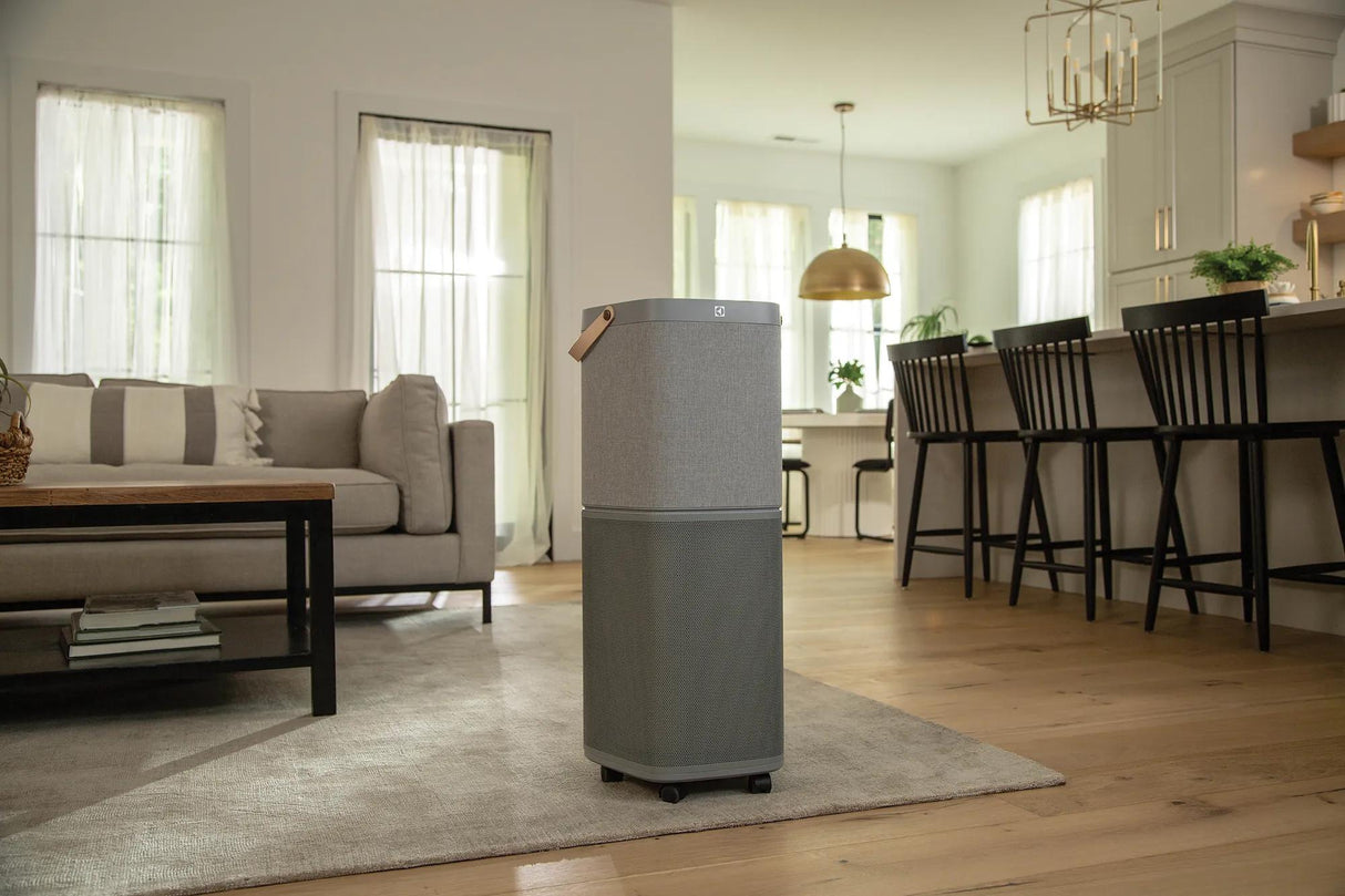 Electrolux 401 Sq. Ft. HEPA Air Purifier, Air Quality Monitoring, Gray