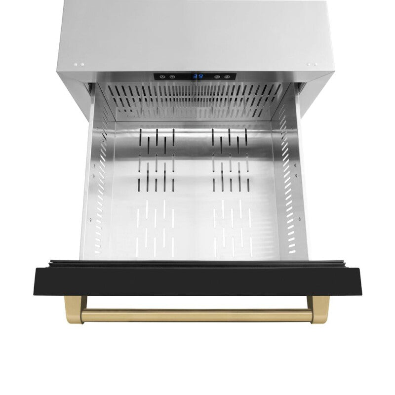 ZLINE Autograph Edition 24 in. Touchstone 168 Can Outdoor-Rated Dual Refrigerator Drawer with Black Matte Doors and Champagne Bronze Handles (RDSOZ-BLM-24-CB) - (RDSOZBLM24CB) -