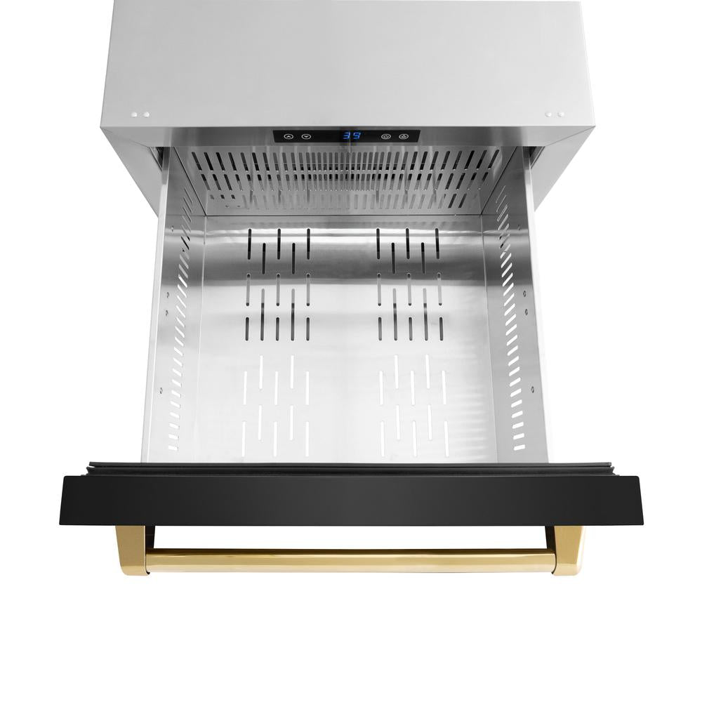 ZLINE Autograph Edition 24 in. Touchstone 168 Can Outdoor-Rated Dual Refrigerator Drawer with Black Stainless Steel Doors and Polished Gold Handles (RDSOZ-BS-24-G) - (RDSOZBS24G) -