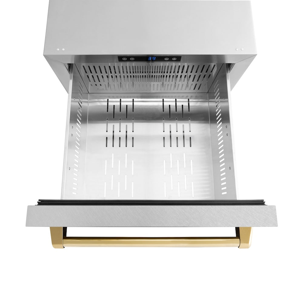ZLINE Autograph Edition 24 in. Touchstone 168 Can Outdoor-Rated Dual Refrigerator Drawer with DuraSnow® Stainless Steel Doors and Polished Gold Handles (RDSOZ-SN-24-G) - (RDSOZSN24G) -