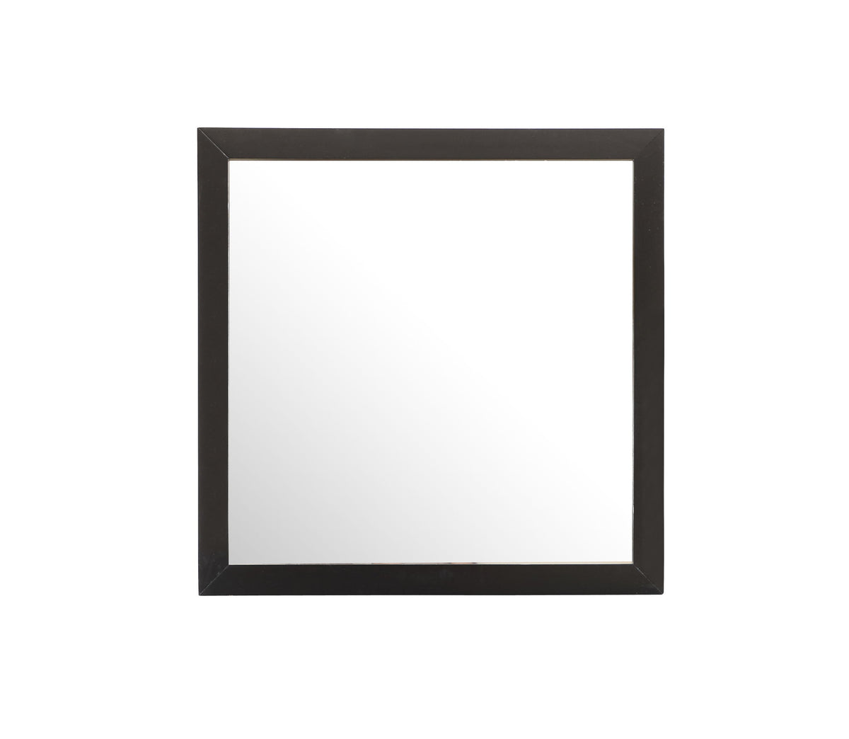 Burlington - Modern Design Transitional Wall Mirror