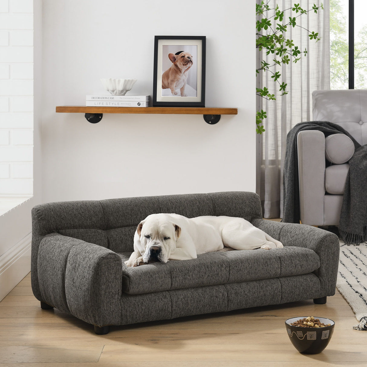 Modern Pet Sofa With Backrest And Armrests