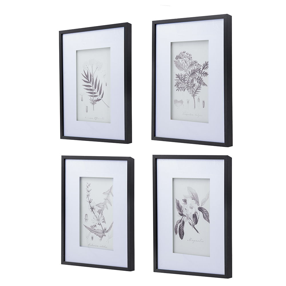 Botanical Wall Art Prints, Home Decor For Living Room Dining Room, Bedroom, Hallway (Set of 4) - White / Black