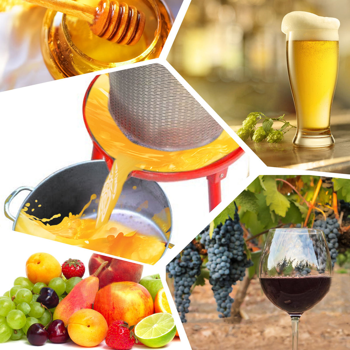 Hydraulic Fruit Wine Apple Press 5.3 Gallon / 20L For Wine Cider Making - Red