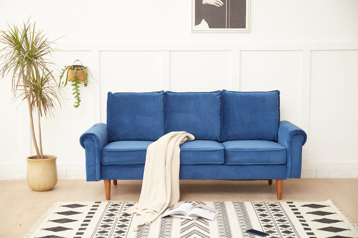 Graceful Design Plush Comfort Sofa