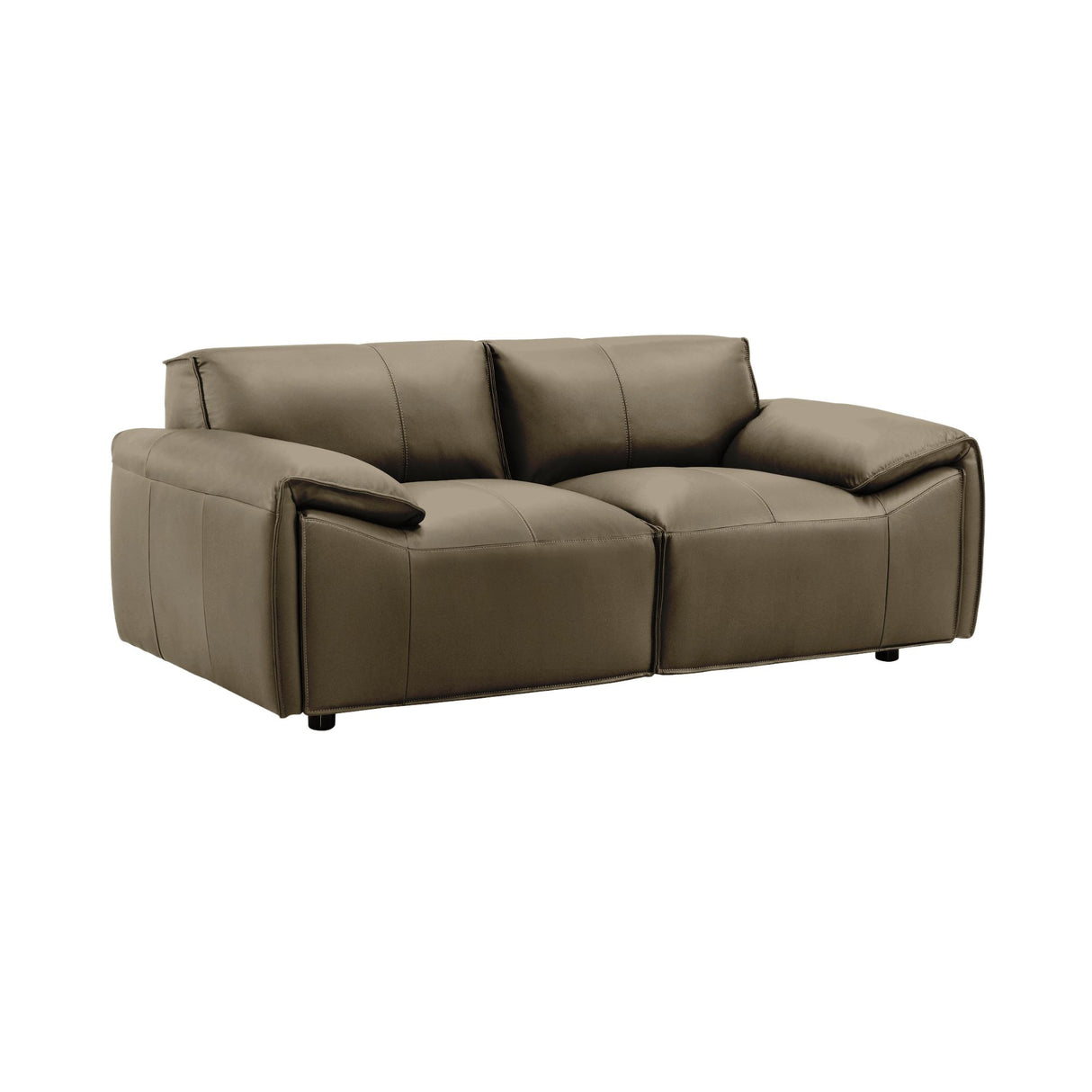 Tanner - Leather Loveseat With Padded Arms