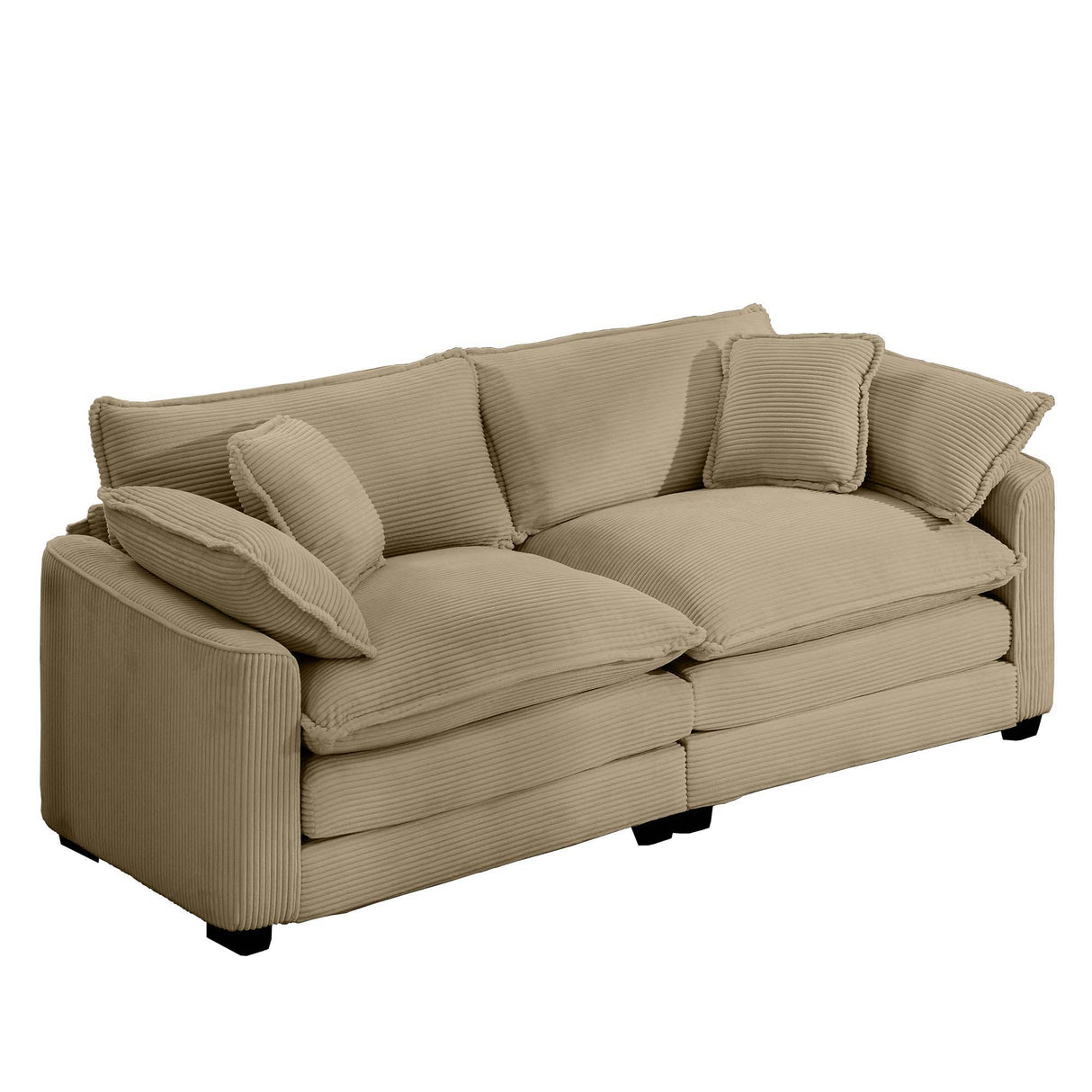 Modern 2 Seater With 4 Pillows, Upholstered Deep Seating Loveseat