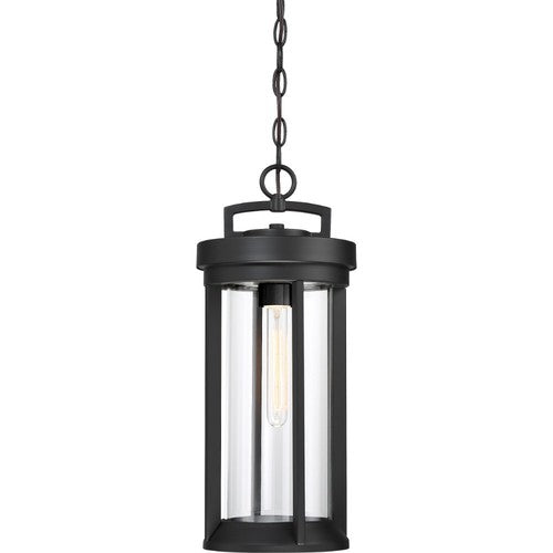 Nuvo Lighting 60-6504 Huron Outdoor Hanging Lantern - Aged Bronze / Glass