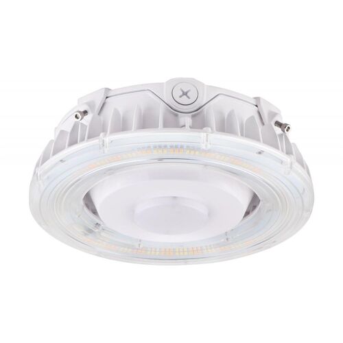 Nuvo Lighting 65-625 Canopy Light Outdoor Ceiling Mounted Light - White