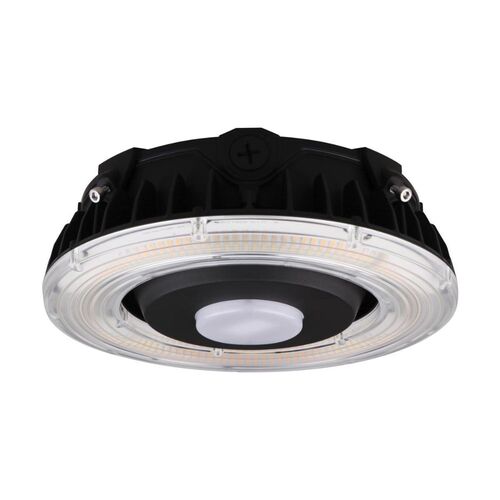 Nuvo Lighting 65-626 Canopy Light Outdoor Ceiling Mounted Light - Bronze