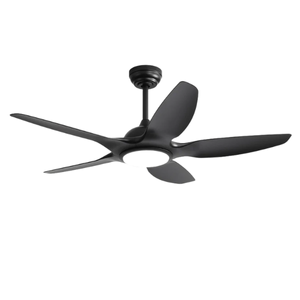 S_Indoor/Outdoor Ceiling