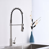 Modern Single Handle Spring High Arc Kitchen Faucet With Water Filter System