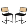 Rattan Side Accent Dining Chairs With Painted Legs (Set of 2)