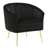 Tania - Accent Chair - Gold Metal And Black Velvet