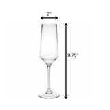 Tritan Lexington - Unbreakable Plastic Champagne Flutes, 10Oz (Set of 4) - Clear