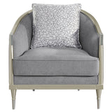 Fernando - Chair With Pillow - Gray Chenille & Champagne