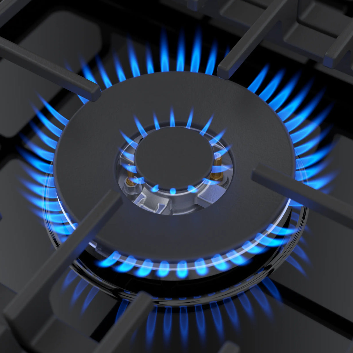 Bosch NGM8049UC center burner with flames