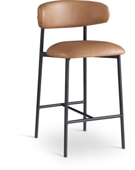 Lupita - Counter Stool (Set of 2)