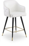 Barbosa - Counter Bar Stool (Set of 2)