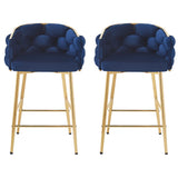 Modern Counter Stools (Set of 2)