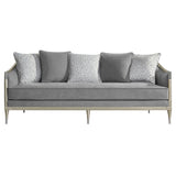 Fernando - Sofa With 5 Pillows - Gray Chenille & Champagne