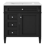Bathroom Vanity With Top Sink, Storage Cabinet With 2 Drawers, Tip Out Drawer