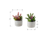 Artificial Succulent Table Decor (Set of 2) - Green - Plastic