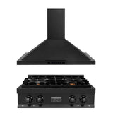 ZLINE Kitchen Package with 30 in. Black Stainless Steel Rangetop and 30 in. Convertible Range Hood (2KP-RTBRH30) - (2KPRTBRH30) -
