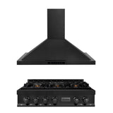 ZLINE Kitchen Package with 36 in. Black Stainless Steel Rangetop and 36 in. Convertible Range Hood (2KP-RTBRH36) - (2KPRTBRH36) -