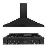 ZLINE Kitchen Package with 48 in. Black Stainless Steel Rangetop and 48 in. Convertible Range Hood (2KP-RTBRH48) - (2KPRTBRH48) -