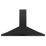 ZLINE Kitchen Package with 48 in. Black Stainless Steel Rangetop and 48 in. Convertible Range Hood (2KP-RTBRH48) - (2KPRTBRH48) -