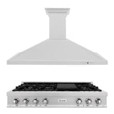 ZLINE Kitchen Package with 48 in. Satin Stainless Steel Rangetop and Convertible Range Hood (2KP-RTSRH48) - (2KPRTSRH48) -
