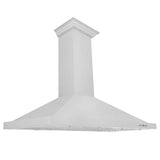 ZLINE Kitchen Package with 48 in. Satin Stainless Steel Rangetop and Convertible Range Hood (2KP-RTSRH48) - (2KPRTSRH48) -