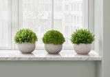 5" Tall, Artificial Plant, Grass, Indoor, Faux, Fake, Table, Greenery, Potted, Decorative (Set of 3) - Green / Gray