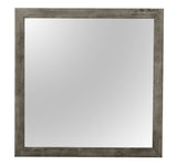 Modern Design Transitional Wall Mirror