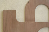 Arid - Mango Wood Wall Decor