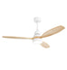 Indoor Ceiling Fan With Dimmable LED Light, 6 Speed Remote ControlLED DC Motor, Reversible Blades