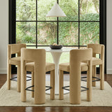 Zuno - Velvet Performance Fabric Upholstered Counter Stool (Set of 2)