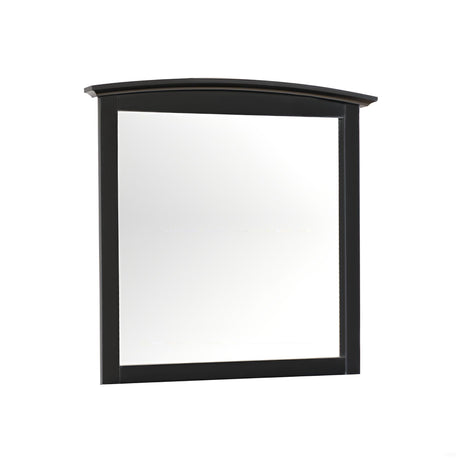 Elegant Wall Mirror